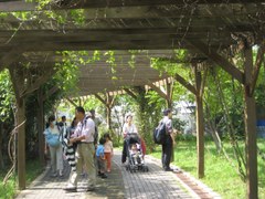Guandu Nature Park2